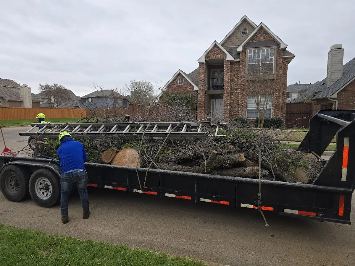 Expert Tree Fertilization with proper safety equipment in Ansley